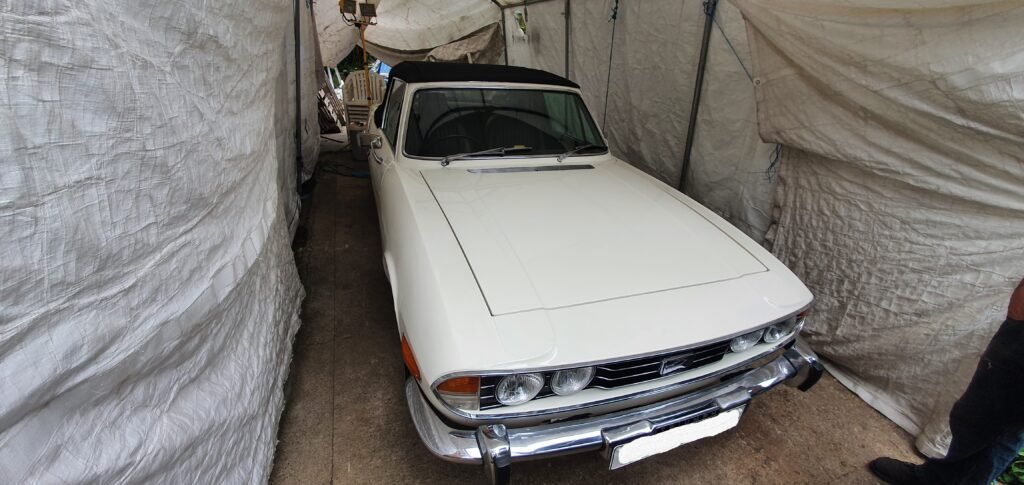 Classic White Triumph Stag